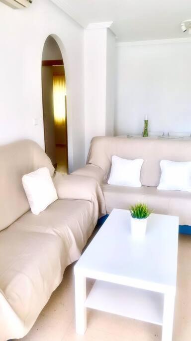 Apartamento - Playa El Campello Urbanizacion Jardin Del Mar Eksteriør billede