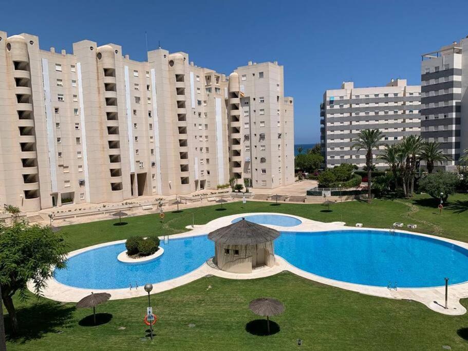 Apartamento - Playa El Campello Urbanizacion Jardin Del Mar Eksteriør billede